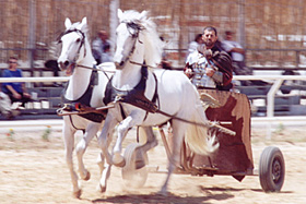 Jerash Chariots